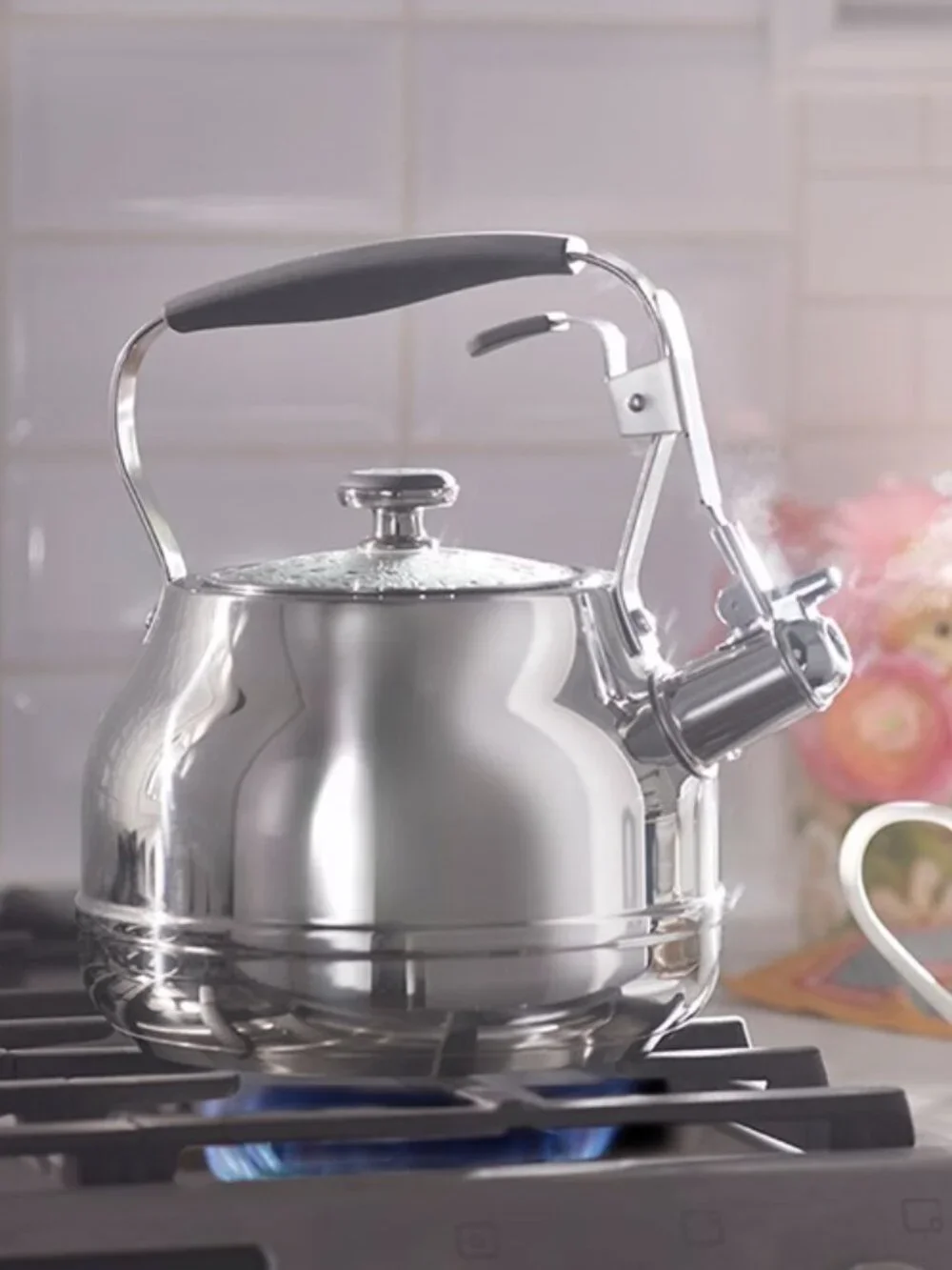 Princess Heritage® Stainless Steel Cookware Whistling Kettle 10365